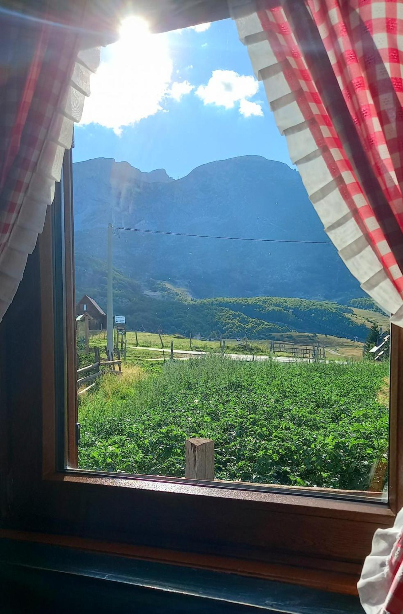 Family Farm Apartments Žabljak Quarto foto